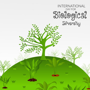 植物区系研究工业图片-植物区系研究工业素材-植物区系研究工业插画-摄图新视界