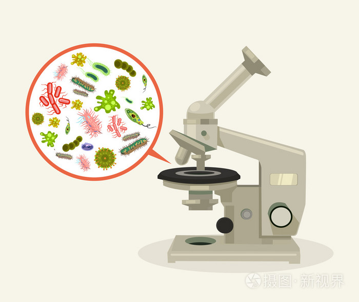 显微镜下的微生物 矢量平面卡通插画中的生物世界