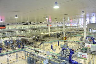 探索科技与农业融合之路——生命科学学院生物工程系与设施农业科学与工程专业师生参观蒙牛六期工厂