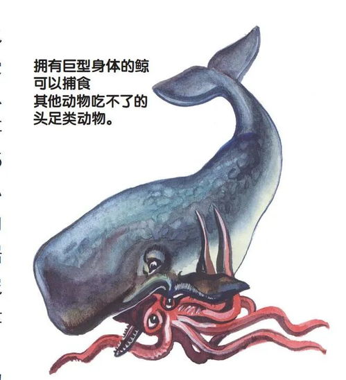 生存的桎梏与进化的钥匙 环境如何塑造生命形态