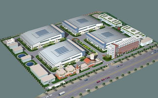 现代化大棚羊肚菌与黑木耳蔬菜轮种果树套种食用植物油加工厂可行性报告范文