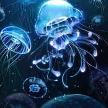 黑暗中熠熠发光的海洋舞者——水母