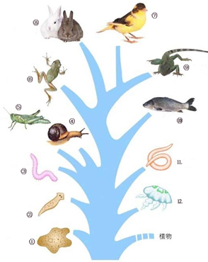 生物圈与栖息地 基本概念辨析